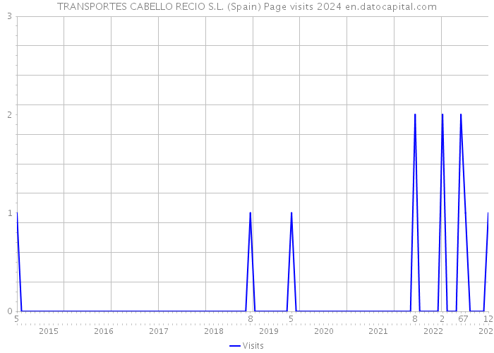 TRANSPORTES CABELLO RECIO S.L. (Spain) Page visits 2024 