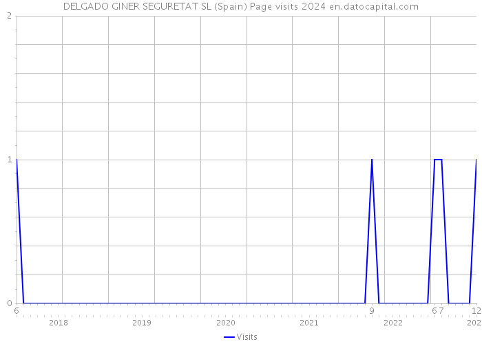 DELGADO GINER SEGURETAT SL (Spain) Page visits 2024 