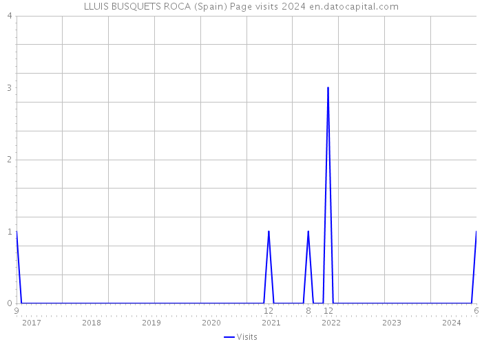 LLUIS BUSQUETS ROCA (Spain) Page visits 2024 