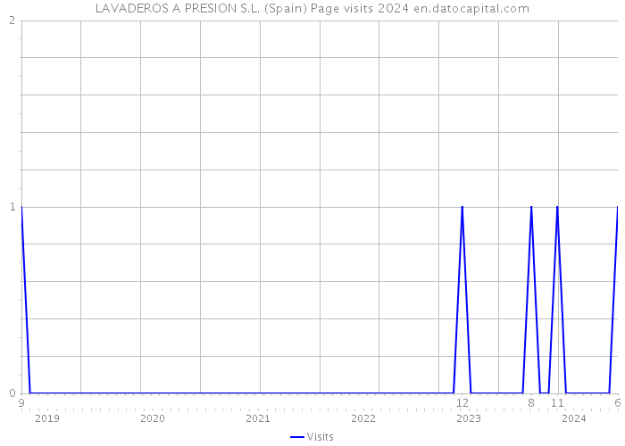 LAVADEROS A PRESION S.L. (Spain) Page visits 2024 