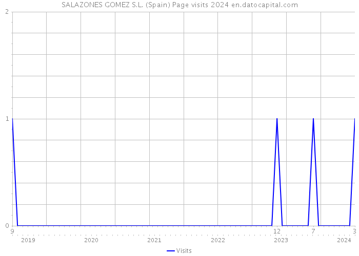SALAZONES GOMEZ S.L. (Spain) Page visits 2024 