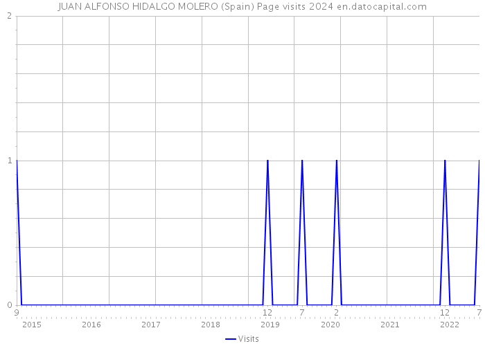 JUAN ALFONSO HIDALGO MOLERO (Spain) Page visits 2024 