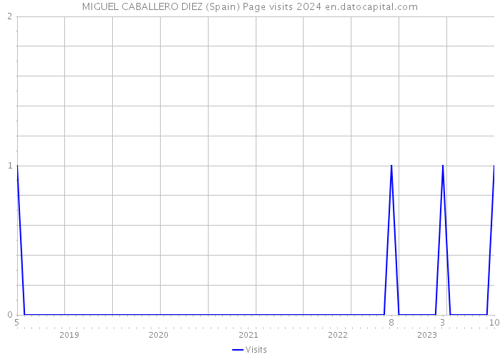 MIGUEL CABALLERO DIEZ (Spain) Page visits 2024 