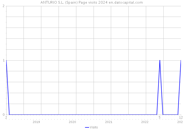 ANTURIO S.L. (Spain) Page visits 2024 