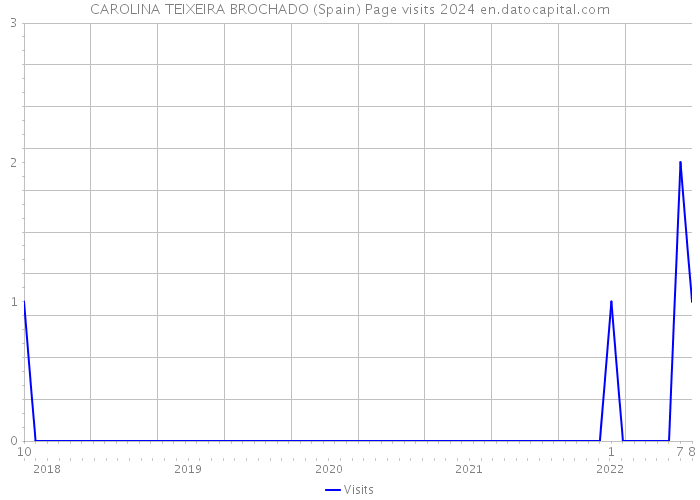 CAROLINA TEIXEIRA BROCHADO (Spain) Page visits 2024 
