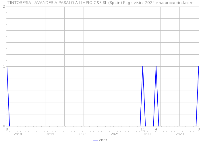 TINTORERIA LAVANDERIA PASALO A LIMPIO C&S SL (Spain) Page visits 2024 