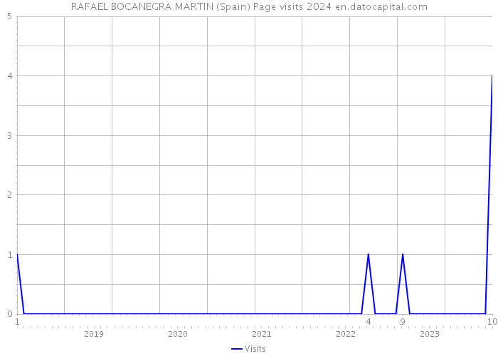 RAFAEL BOCANEGRA MARTIN (Spain) Page visits 2024 