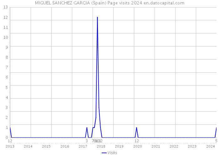 MIGUEL SANCHEZ GARCIA (Spain) Page visits 2024 