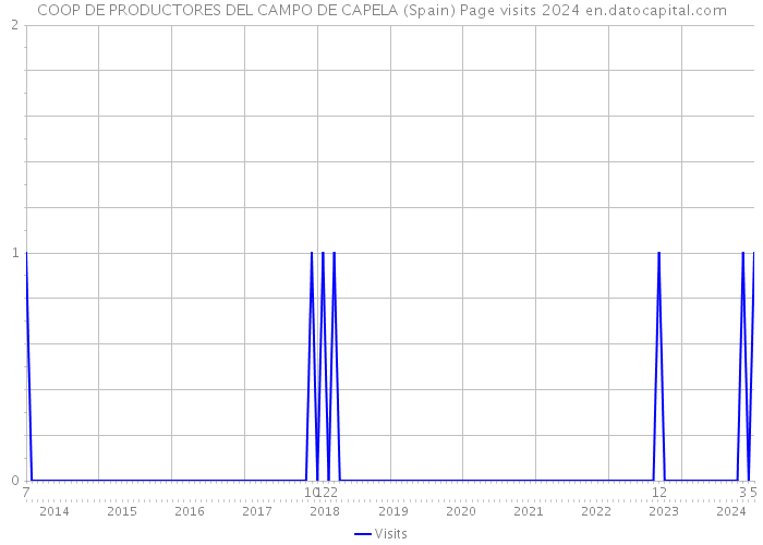 COOP DE PRODUCTORES DEL CAMPO DE CAPELA (Spain) Page visits 2024 
