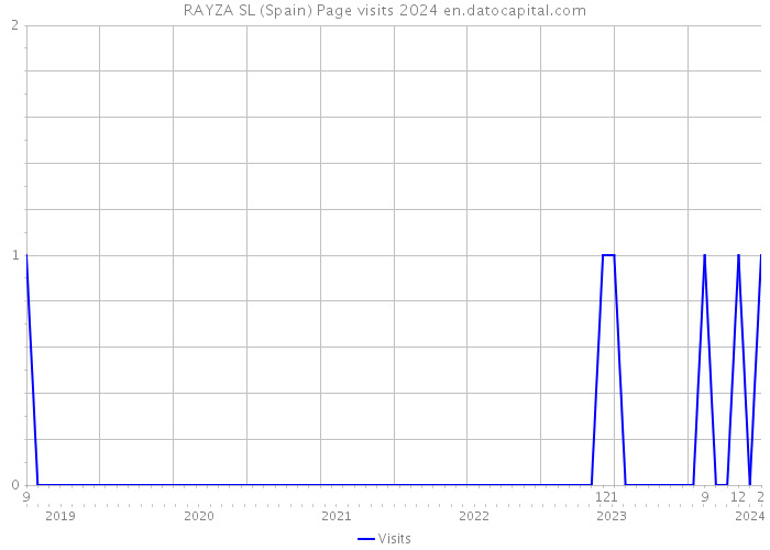 RAYZA SL (Spain) Page visits 2024 