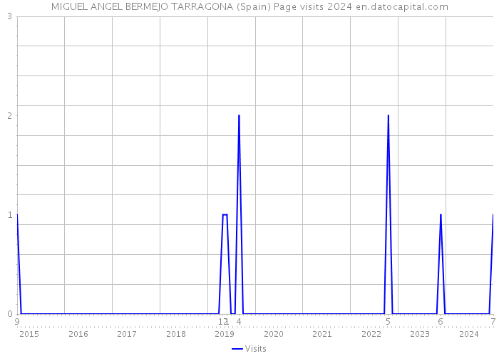 MIGUEL ANGEL BERMEJO TARRAGONA (Spain) Page visits 2024 