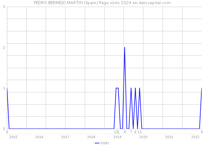 PEDRO BERMEJO MARTIN (Spain) Page visits 2024 