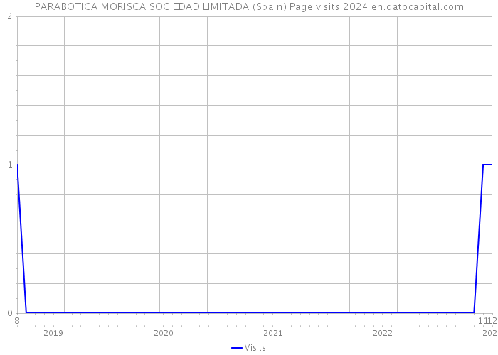PARABOTICA MORISCA SOCIEDAD LIMITADA (Spain) Page visits 2024 