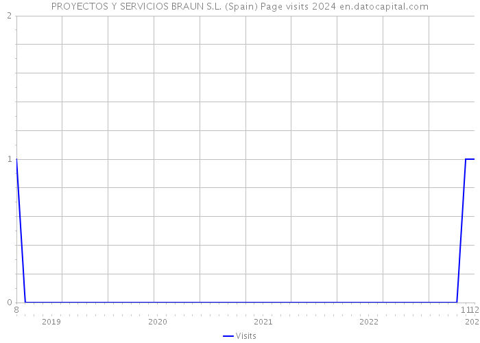 PROYECTOS Y SERVICIOS BRAUN S.L. (Spain) Page visits 2024 