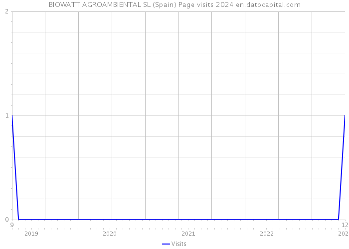 BIOWATT AGROAMBIENTAL SL (Spain) Page visits 2024 