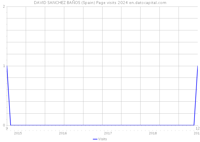 DAVID SANCHEZ BAÑOS (Spain) Page visits 2024 