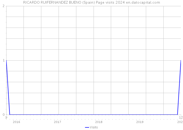 RICARDO RUIFERNANDEZ BUENO (Spain) Page visits 2024 