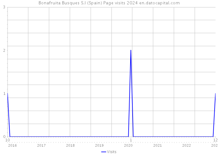 Bonafruita Busques S.l (Spain) Page visits 2024 