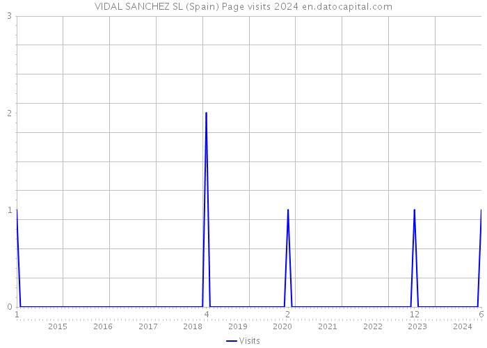 VIDAL SANCHEZ SL (Spain) Page visits 2024 