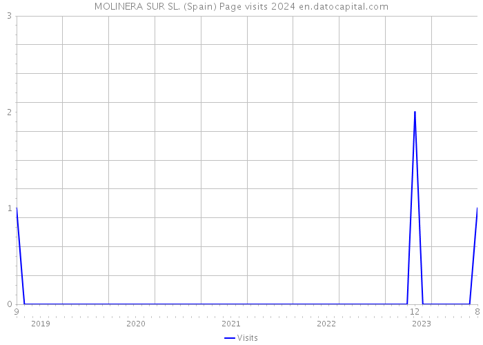 MOLINERA SUR SL. (Spain) Page visits 2024 