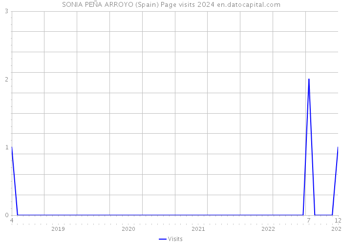 SONIA PEÑA ARROYO (Spain) Page visits 2024 