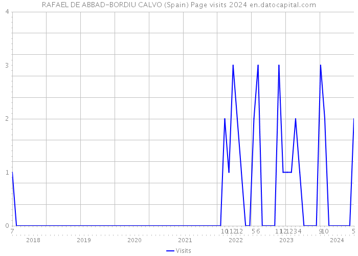 RAFAEL DE ABBAD-BORDIU CALVO (Spain) Page visits 2024 