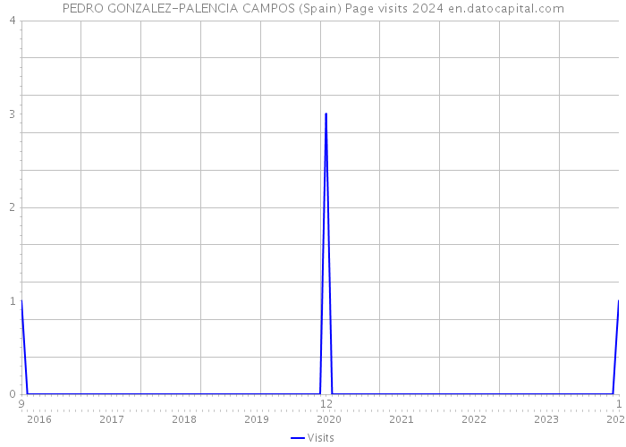 PEDRO GONZALEZ-PALENCIA CAMPOS (Spain) Page visits 2024 