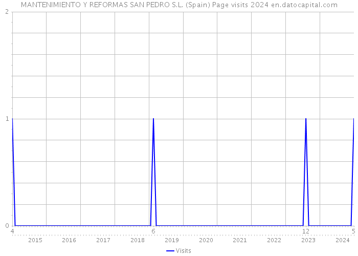 MANTENIMIENTO Y REFORMAS SAN PEDRO S.L. (Spain) Page visits 2024 