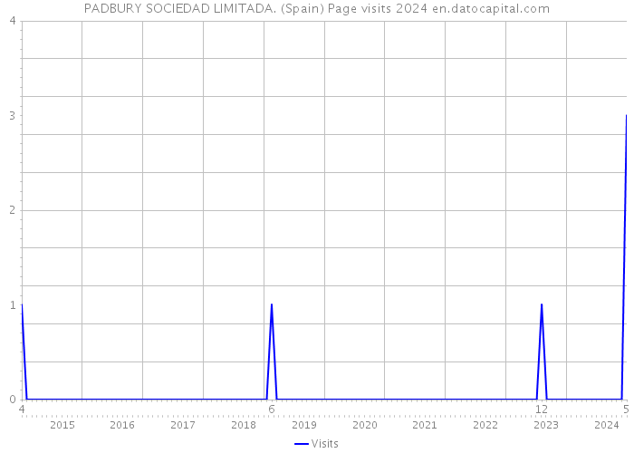 PADBURY SOCIEDAD LIMITADA. (Spain) Page visits 2024 