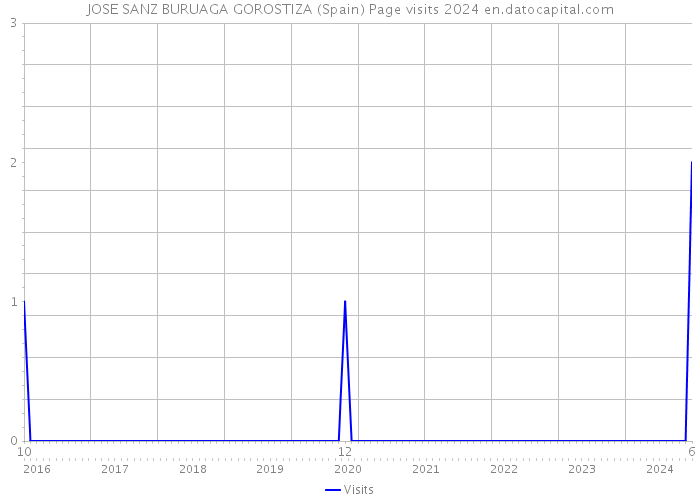 JOSE SANZ BURUAGA GOROSTIZA (Spain) Page visits 2024 