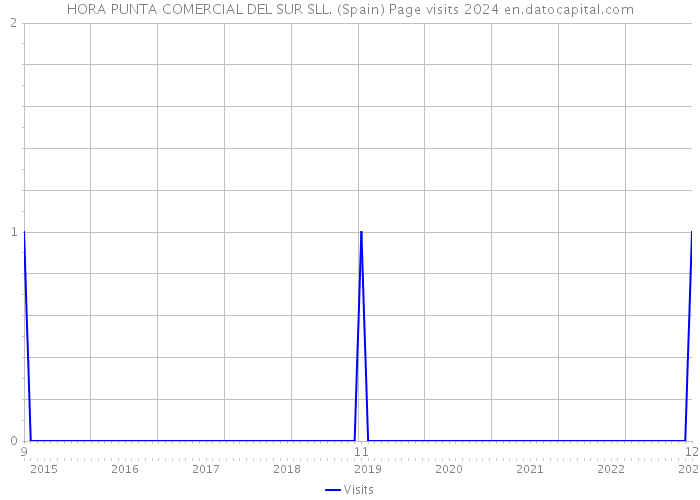 HORA PUNTA COMERCIAL DEL SUR SLL. (Spain) Page visits 2024 