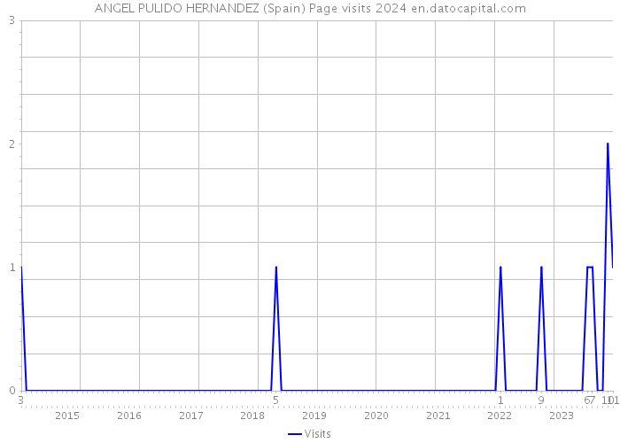 ANGEL PULIDO HERNANDEZ (Spain) Page visits 2024 