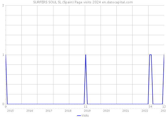 SURFERS SOUL SL (Spain) Page visits 2024 