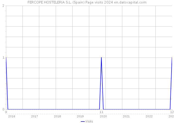 FERCOPE HOSTELERIA S.L. (Spain) Page visits 2024 