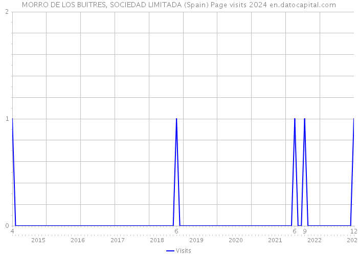 MORRO DE LOS BUITRES, SOCIEDAD LIMITADA (Spain) Page visits 2024 