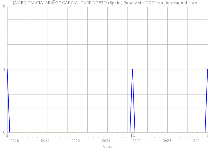 JAVIER GARCIA-MUÑOZ GARCIA-CARPINTERO (Spain) Page visits 2024 