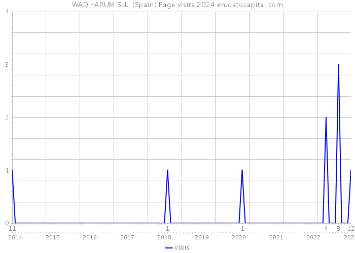 WADI-ARUM SLL. (Spain) Page visits 2024 