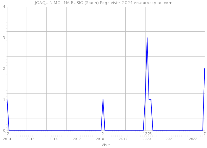JOAQUIN MOLINA RUBIO (Spain) Page visits 2024 