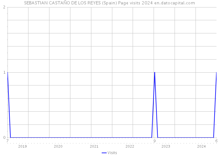 SEBASTIAN CASTAÑO DE LOS REYES (Spain) Page visits 2024 