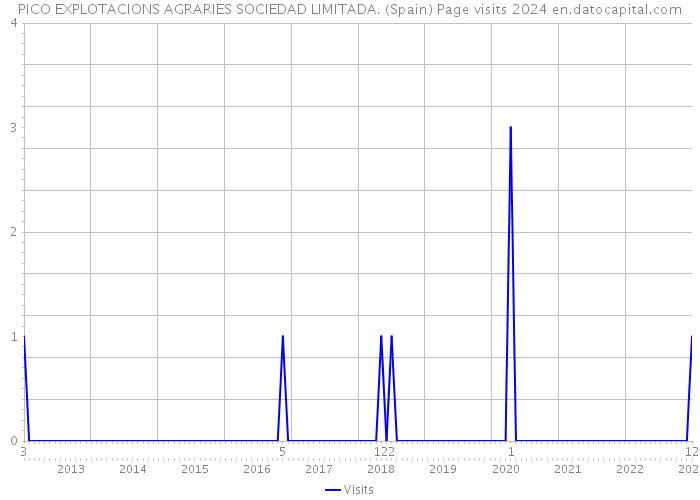 PICO EXPLOTACIONS AGRARIES SOCIEDAD LIMITADA. (Spain) Page visits 2024 