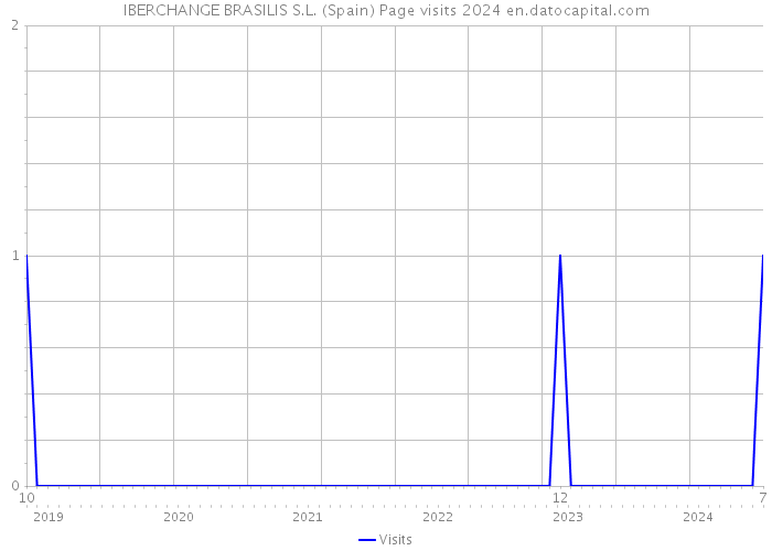 IBERCHANGE BRASILIS S.L. (Spain) Page visits 2024 