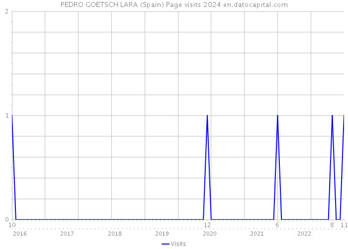 PEDRO GOETSCH LARA (Spain) Page visits 2024 