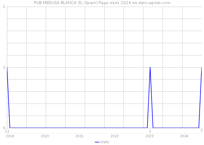 PUB MEDUSA BLANCA SL (Spain) Page visits 2024 