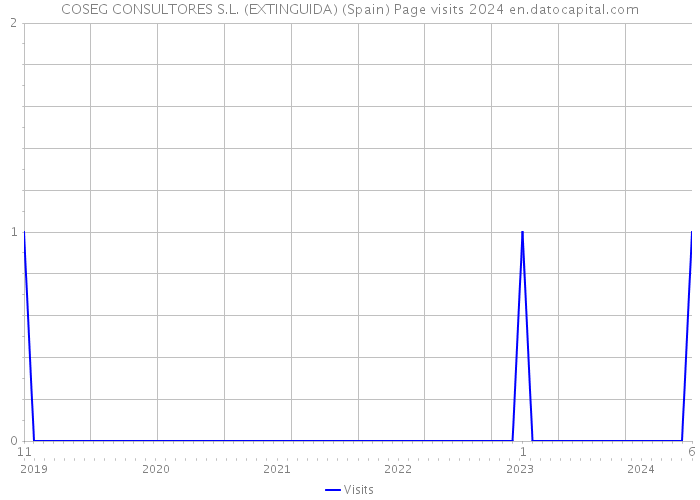 COSEG CONSULTORES S.L. (EXTINGUIDA) (Spain) Page visits 2024 