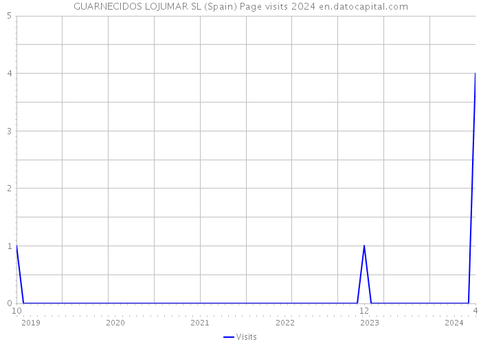GUARNECIDOS LOJUMAR SL (Spain) Page visits 2024 