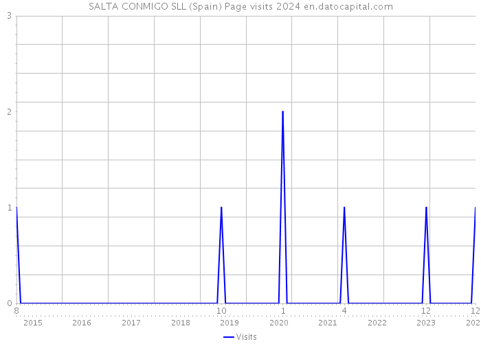 SALTA CONMIGO SLL (Spain) Page visits 2024 