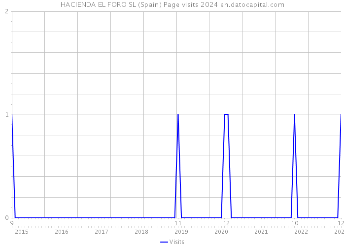 HACIENDA EL FORO SL (Spain) Page visits 2024 
