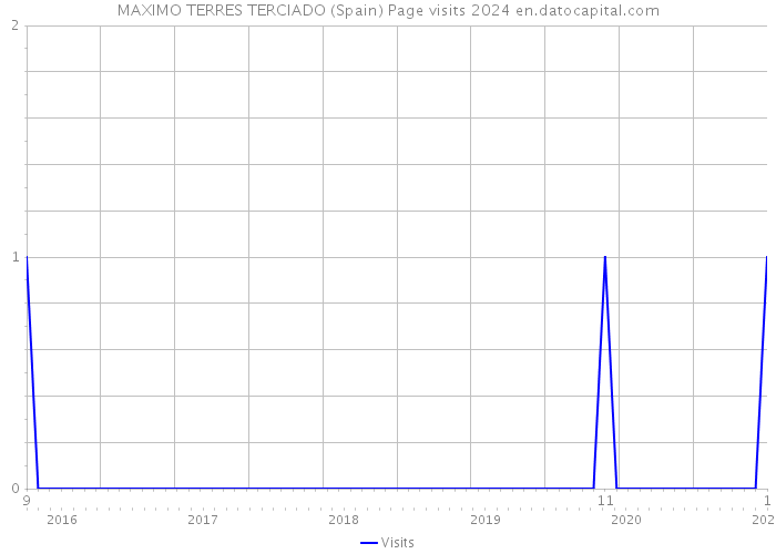 MAXIMO TERRES TERCIADO (Spain) Page visits 2024 