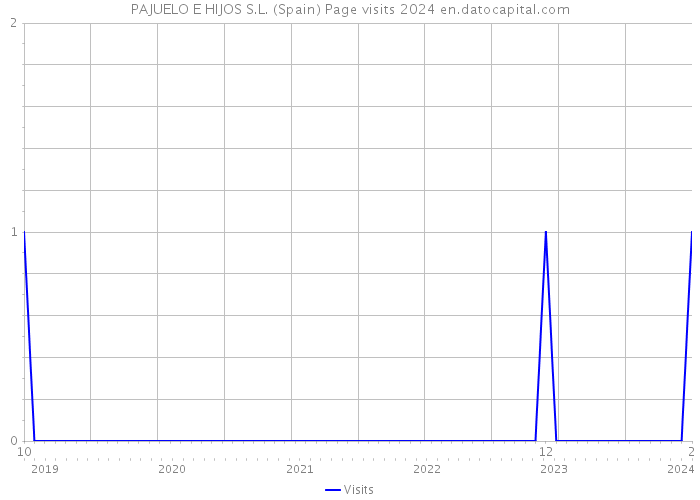 PAJUELO E HIJOS S.L. (Spain) Page visits 2024 