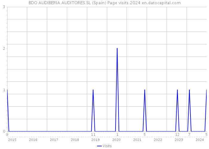 BDO AUDIBERIA AUDITORES SL (Spain) Page visits 2024 